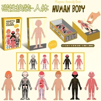 magnetic human body puzzles organ for diy each piece is changeable gifts kids educational toys stem montessori bones model girls