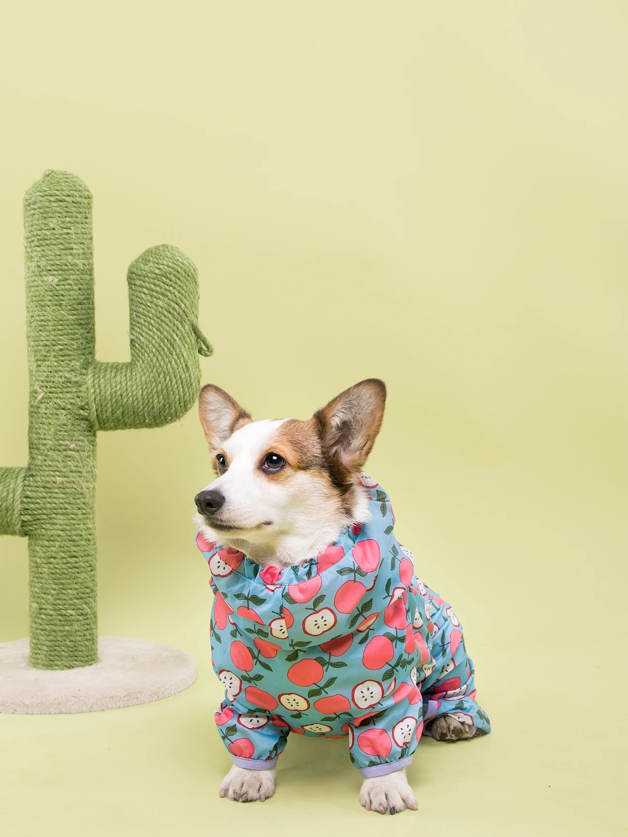 Дождевик для маленьких собак водонепроницаемая куртка одежда Umbrella дождевая Corgi