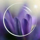 Coyee 1,57 Средний индекс, искусственные линзы из смолы для близорукости, Линзы для очков при пресбиопии