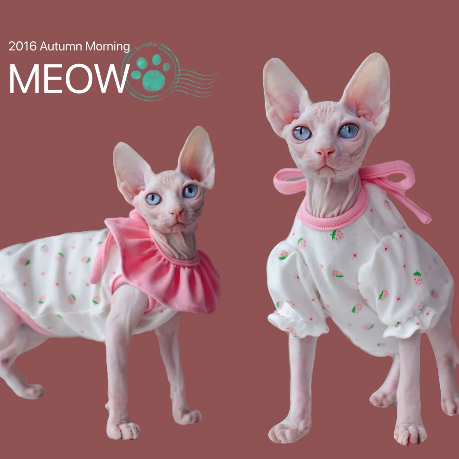 

Sphinx Hairless Cat Clothes Summer Thin Cute Strawberry Puff Sleeve Bow T-shirt Female Cat Clothing Devon Rex Cat Kitten Shirt
