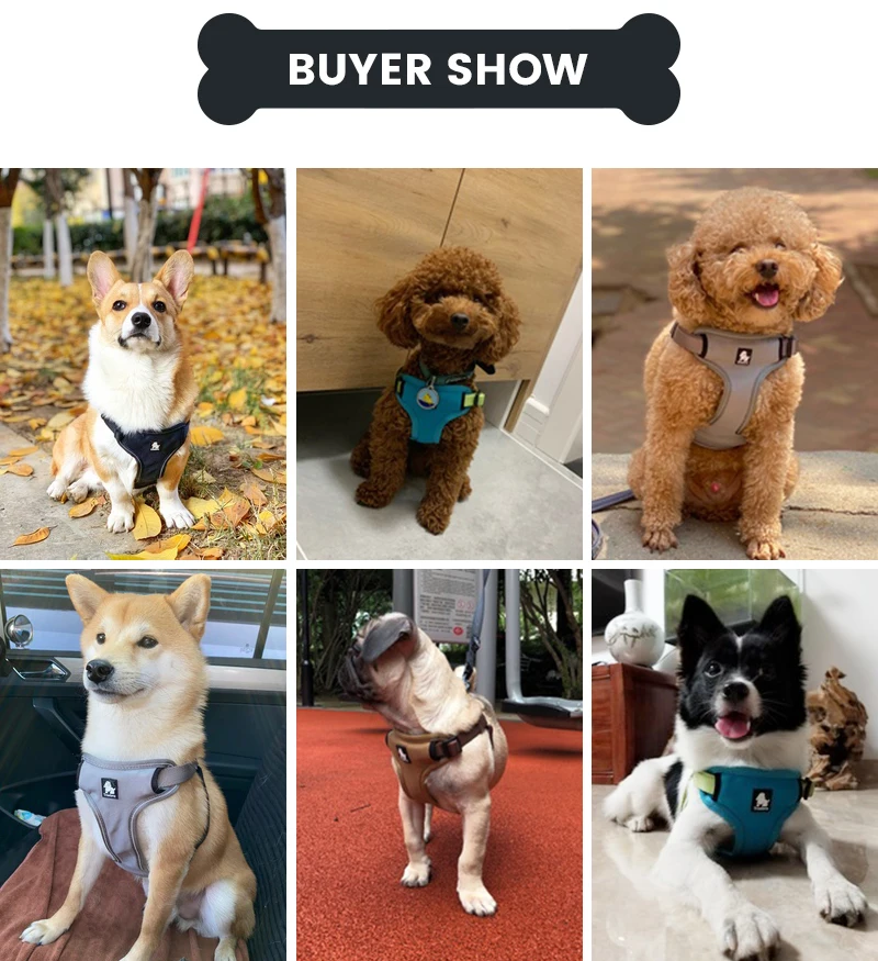 

Truelove Padded Reflective Dog Harness Vest Pet Step In Harness Adjustable No Pulling Pet Vehicle Harnesses for Small Medium Dog