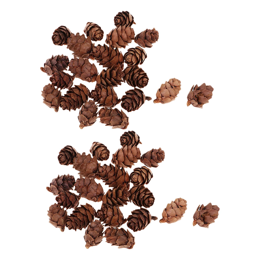 Фото 100x натуральный декоративный сосновый конус Pinecone для Рождественского украшения 100x натуральный декоративный сосновый конус Pinecone для Рождественского украшения