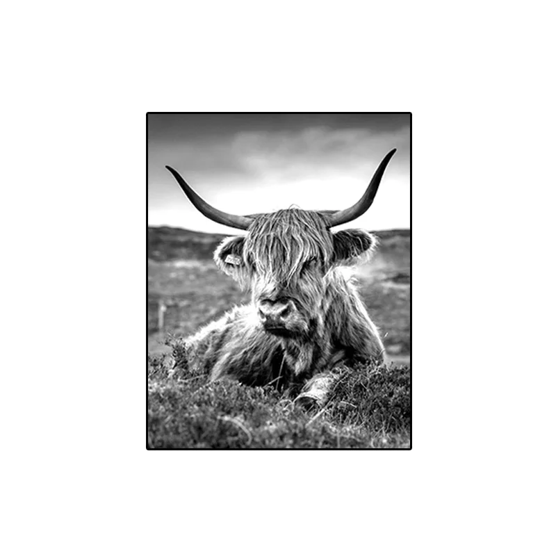 Минималистичная животная ферма холст живопись Highland Cow настенное искусство Bull