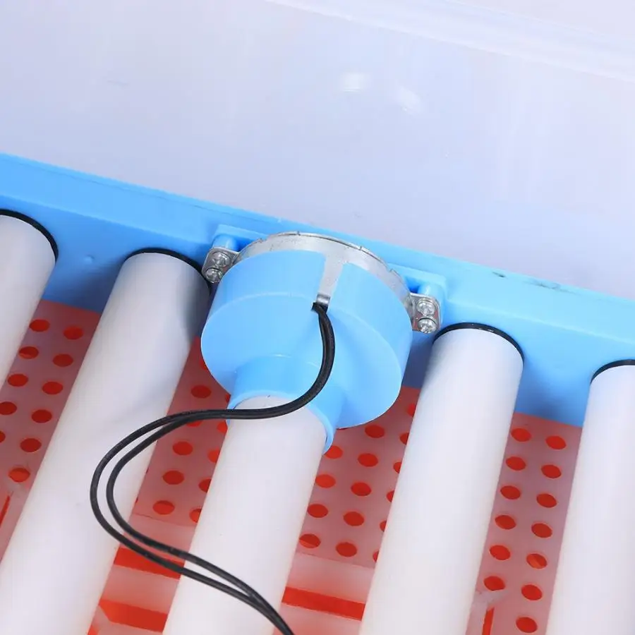Digital Incubator Automatic Clear Egg Turning Hatcher Temperature Control Chicken Duck Goose Eggs Incubators | Дом и сад