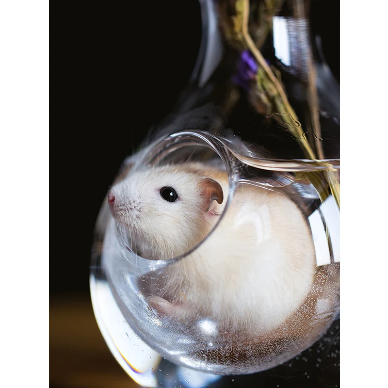 Hamster Nest Cooling Room Pot Creative Guinea Pig Glass House Transparent Small Pet Summer Gift | Дом и сад