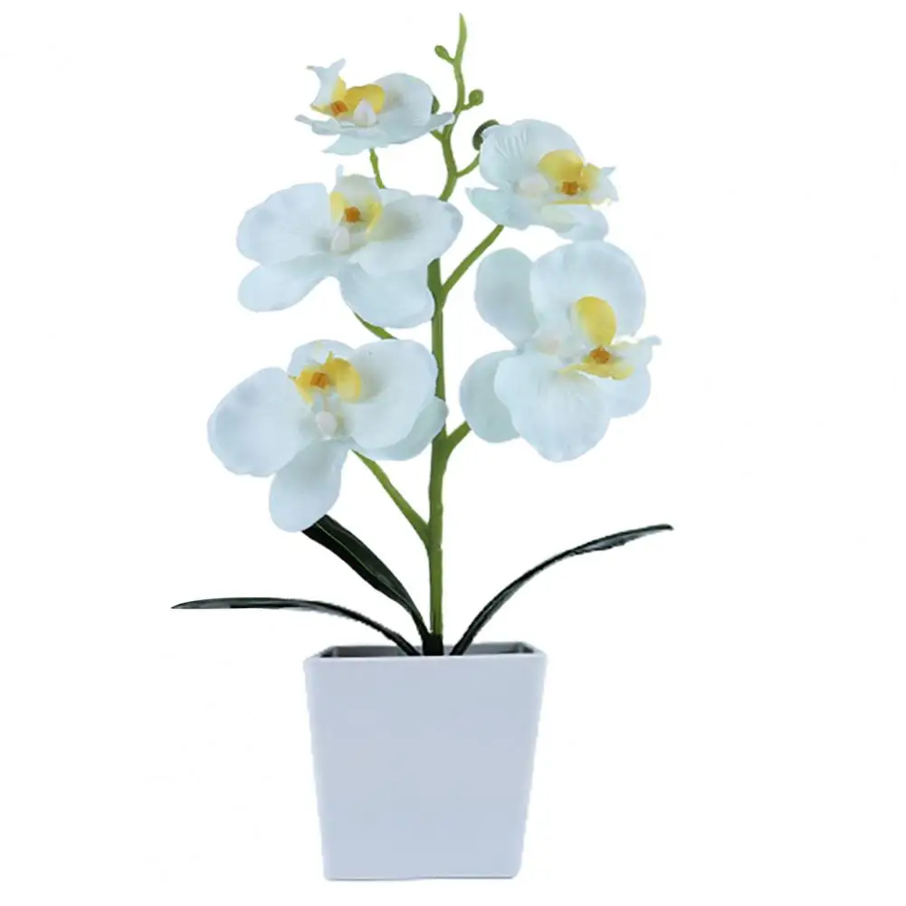 

Artificial Plants Fadeless Lifeful Plastic Artificial Bonsai Plants for Garden