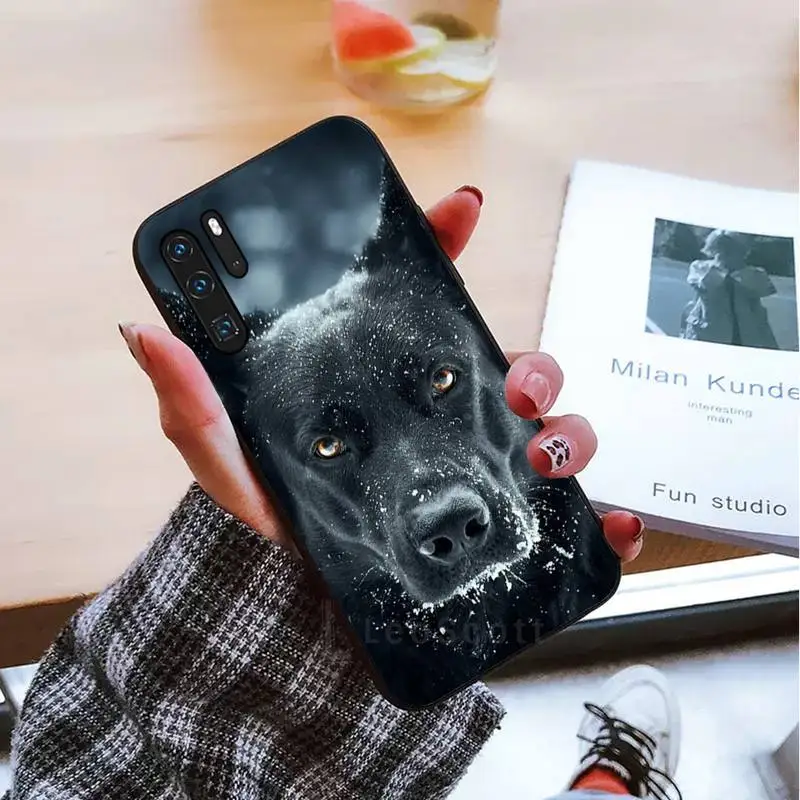 

Horror animal dog Phone Case For Huawei P 9 8 10 40 Mate 30 Honor 8 8A 20 20s 9x nova 6se 5t Y9s PSMART lite pro 2017