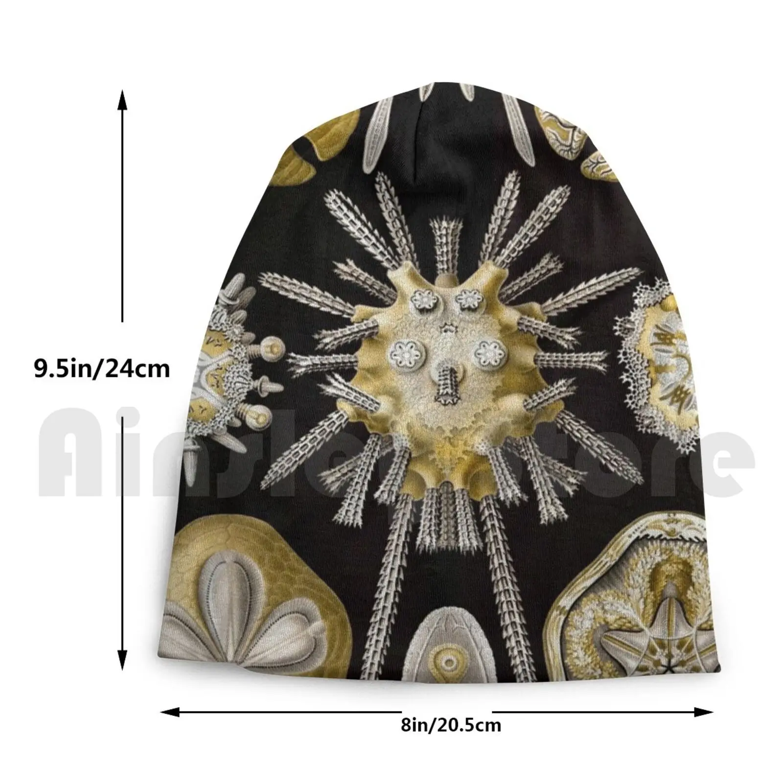 Ernest Haeckel Echinidea мелкое искусство литография морские шапочки вязаная шапка хип-хоп