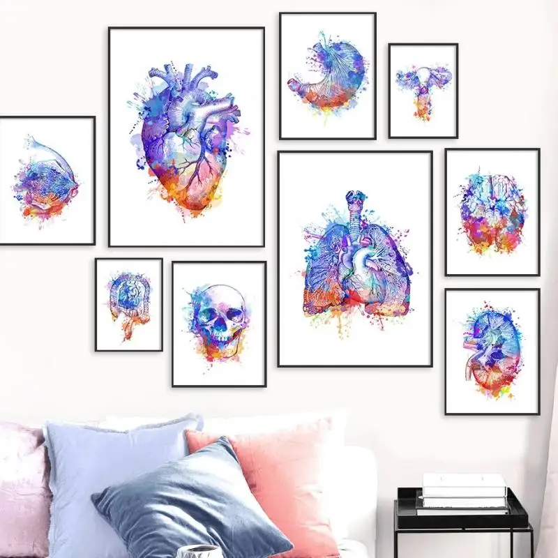 

Nordic Watercolor Painting Colorful Anatomy Human Organs Brain Heart Kidney Skull Wall Art Canvas Posters and Prints Home Decor