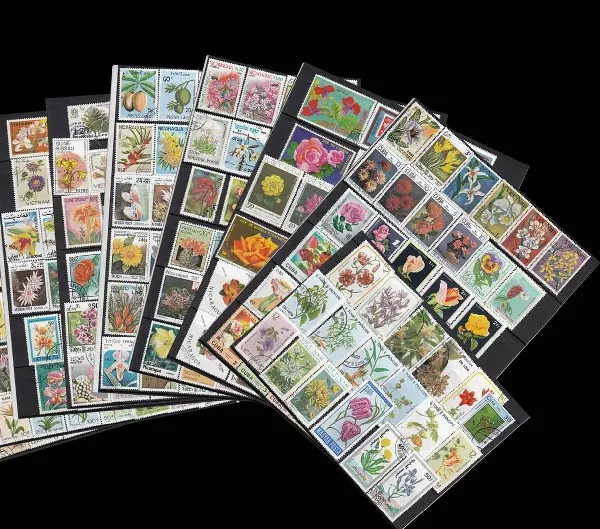 25 шт. случайные цветы все отличаются во многих странах не повторяют