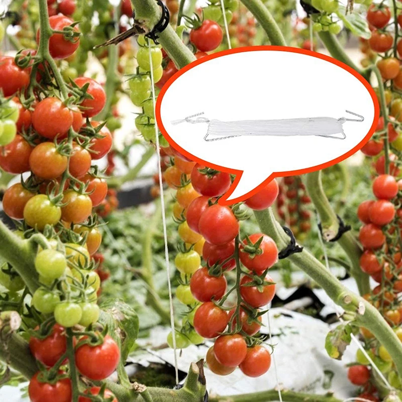 

Крючок для выращивания растений, съемник для выращивания овощей, крючок для поддержки томатов, зажимы для поддержки овощей, предотвращает в...