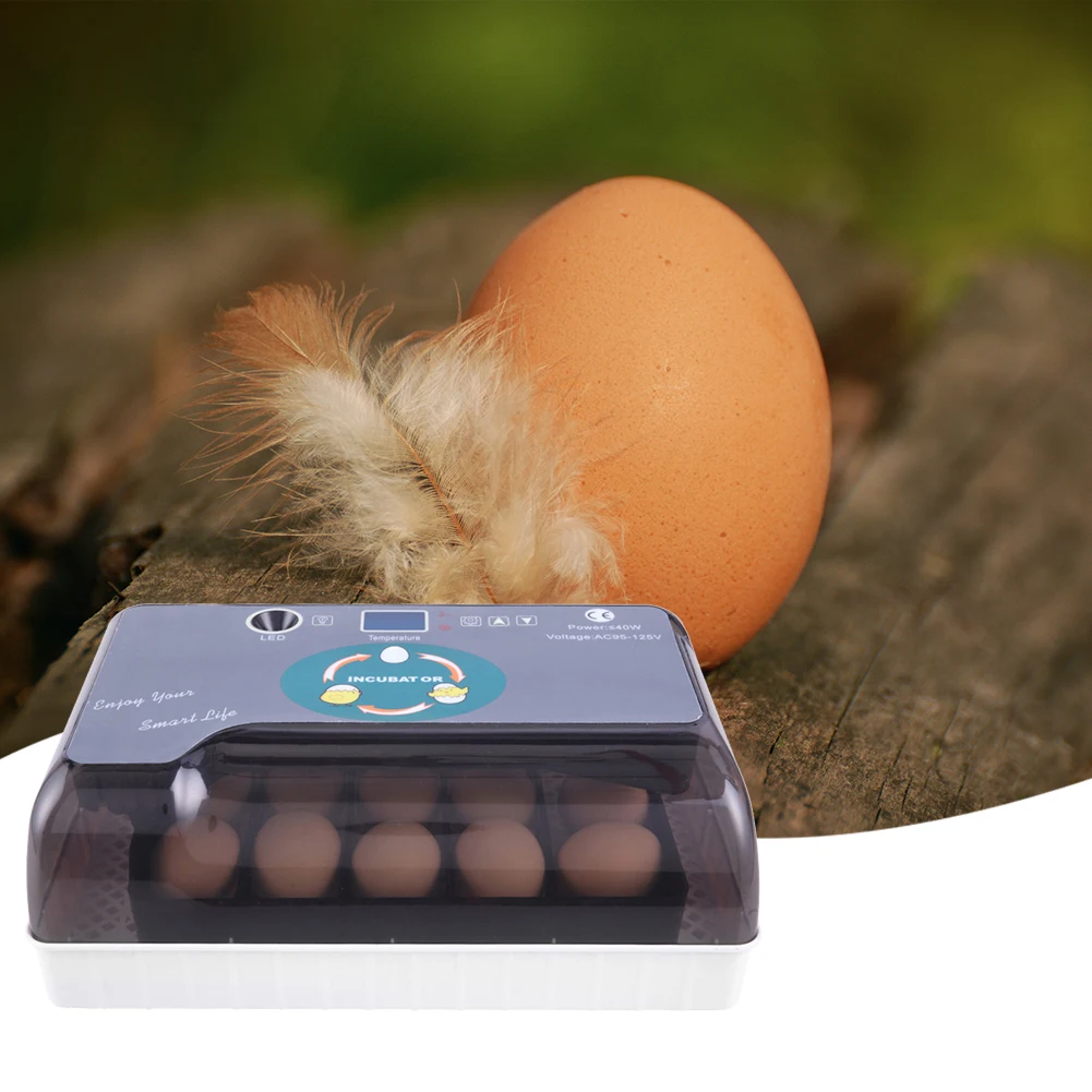 

12 шт. домашний инкубатор для инкубатора, инкубатор для яиц, автоматический цифровой инкубатор для домашней птицы