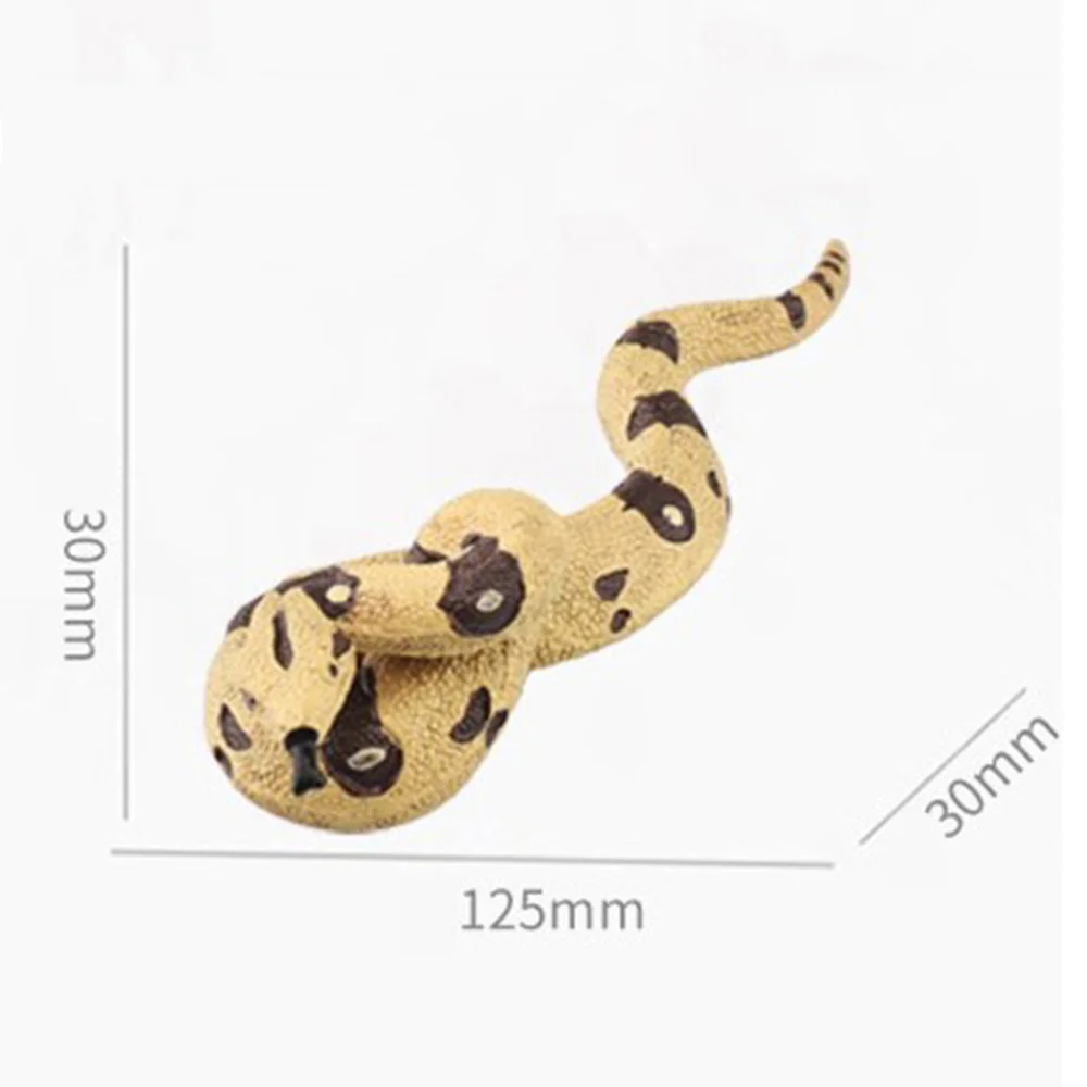 

1pc Simulation Little Boa Model Static Animal Model Decor for Children Kids Boy