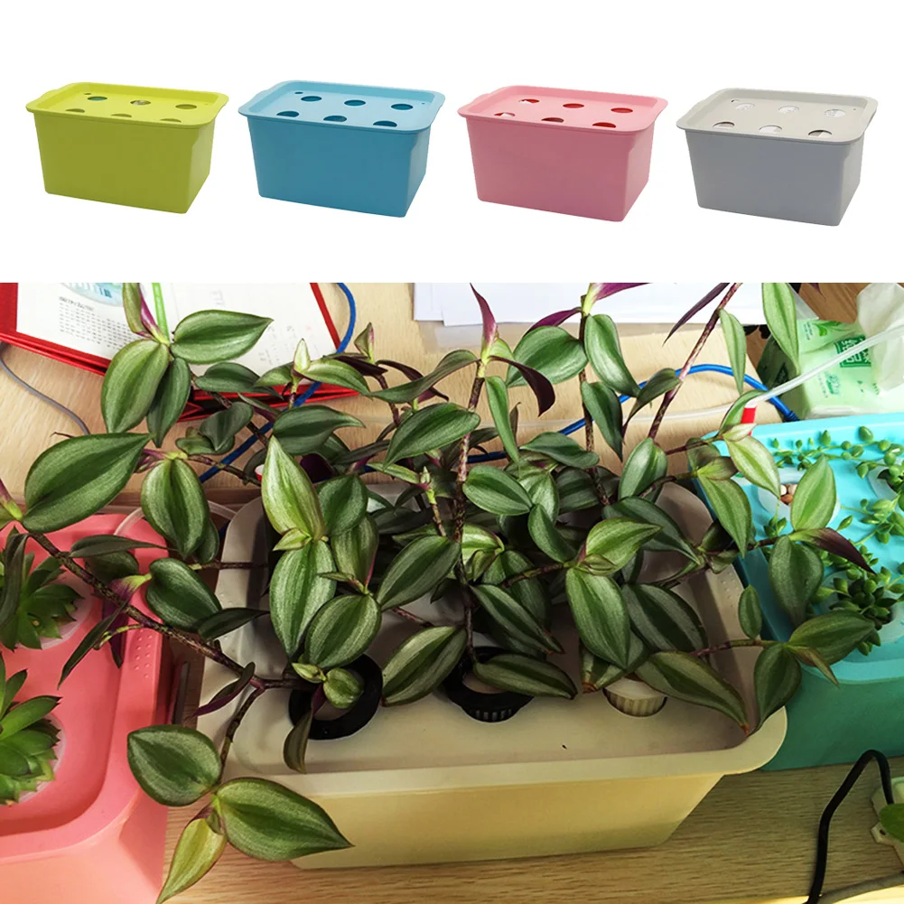 6 Hole Vegetable Seedling Pot Balcony Growing Hydroponic Box with Air Pump Water Soilless Cultivation Plant Tool