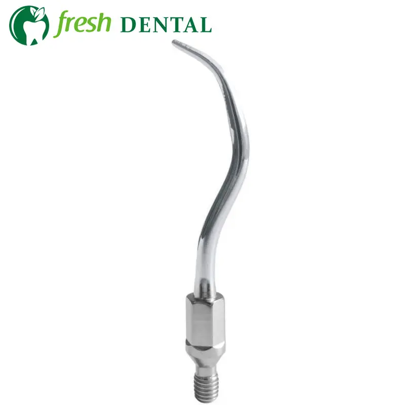 10PCS Dental Scaler Tips Fit NSK N1 Dental Multifunction Scaling Insert Tip Dental Ultrasonic Scaler Tip