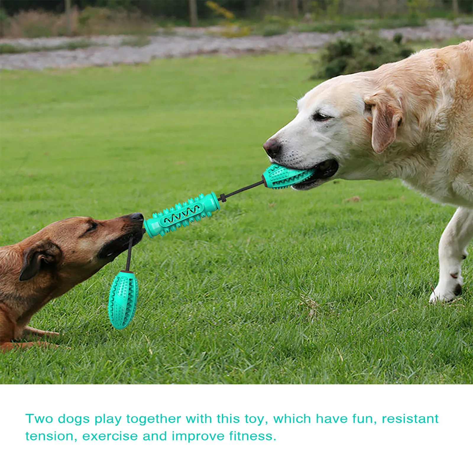 

Pet Dog Toothbrush Chew Toy Cleaning Teeth Safe Elasticity Dog Soft Molar Toy Dogs Toothbrush Puppy Dental Care Pet Puppies