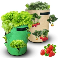 garden outdoor planting grow bag strawberry vertical flower herb pouch root breathable vegetable round reusable pot planter
