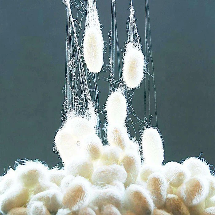 100% косметический серицин Шелковый фибробин гидролизованный шелковый белок