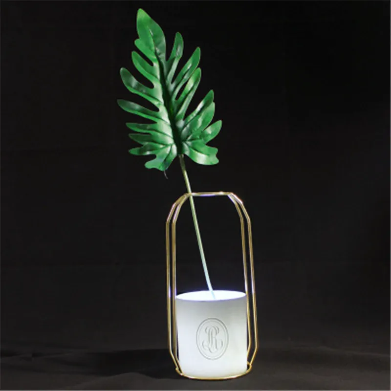 Nordic ins metal iron water culture container glass test tube vase creative home living room flower stand decoration | Дом и сад