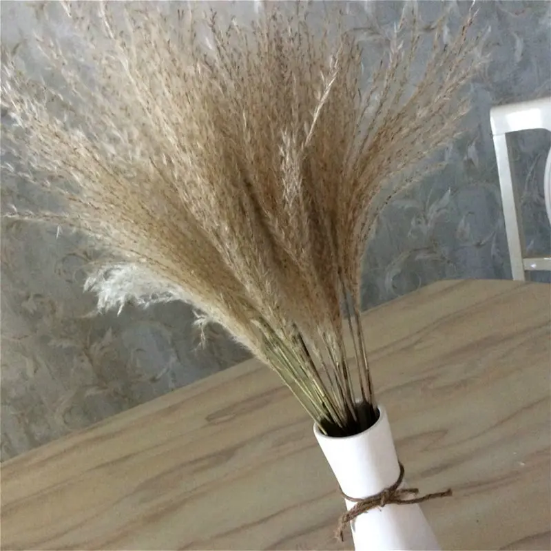

10pcs Pampas Grass Dried Flowers Wedding Decoration Natural Dry Flower Bouquet Artificial Plants Home Decoration