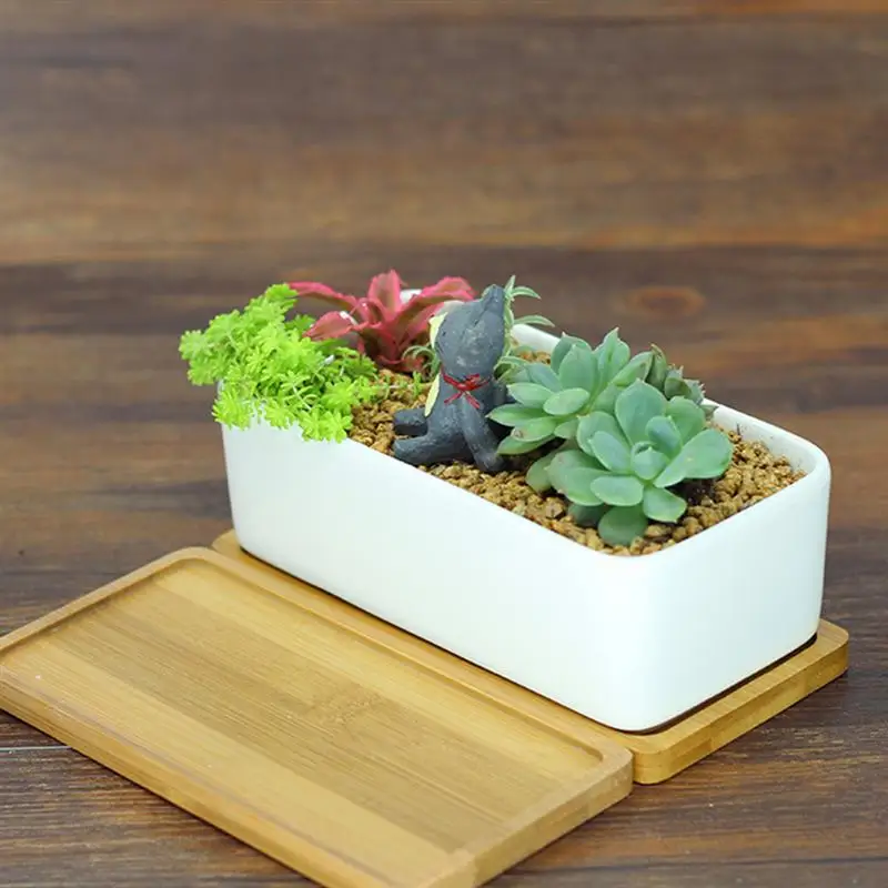 Декоративный мини белый прямоугольный цветочный горшок с белым КАКТУСОМ