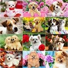 Алмазная вышивка EverShine с собакой, картина из страз с изображением животных, мозаика из страз, настенное украшение