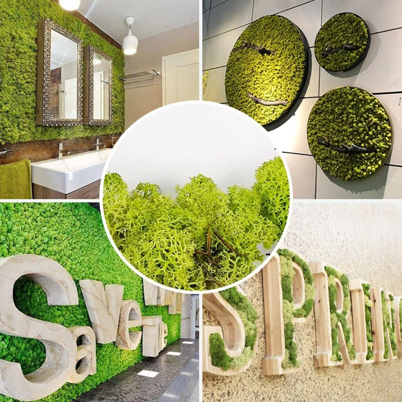 

Artificial Green Plant Immortal Fake Flower Moss Grass for Home Living Room Decorative Wall DIY Flower Mini Garden Accessories