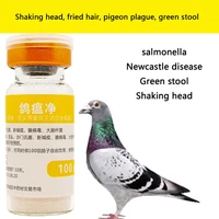 pigeons tilt their heads shake their heads and fry their hairs and have green stools 100 birdsbottle