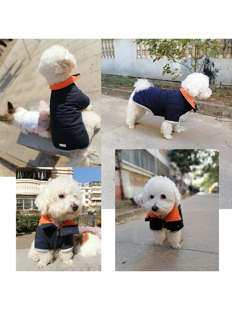 Одежда для собак UFBemo куртка пальто французского бульдога зимняя одежда чихуахуа