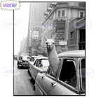 Черно-белое искусство с животными, алмазная живопись альпака, полностью круглая Алмазная Вышивка крестиком, алмазная живопись, стразы, Рождество