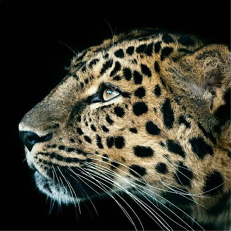 Leopard animals Новое поступление рукоделие DIY Кристалл полная дрель квадратная 5D алмазная живопись Набор для вышивки крестиком Мозаика круглые стразы - Цвет: Leopard 12