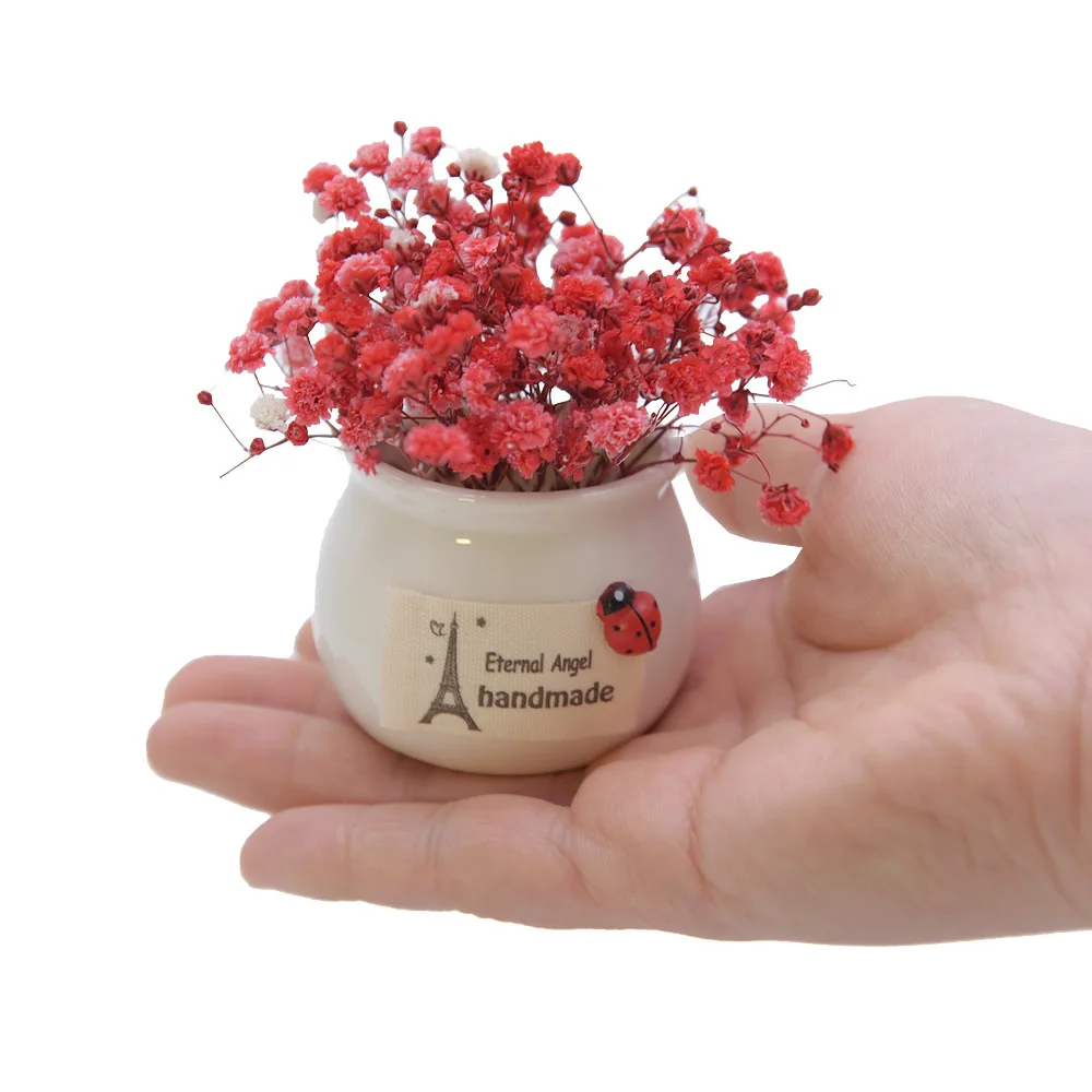 Eternal Life Flower полный маленьких цветов мини бутылка домашняя машина горшечная