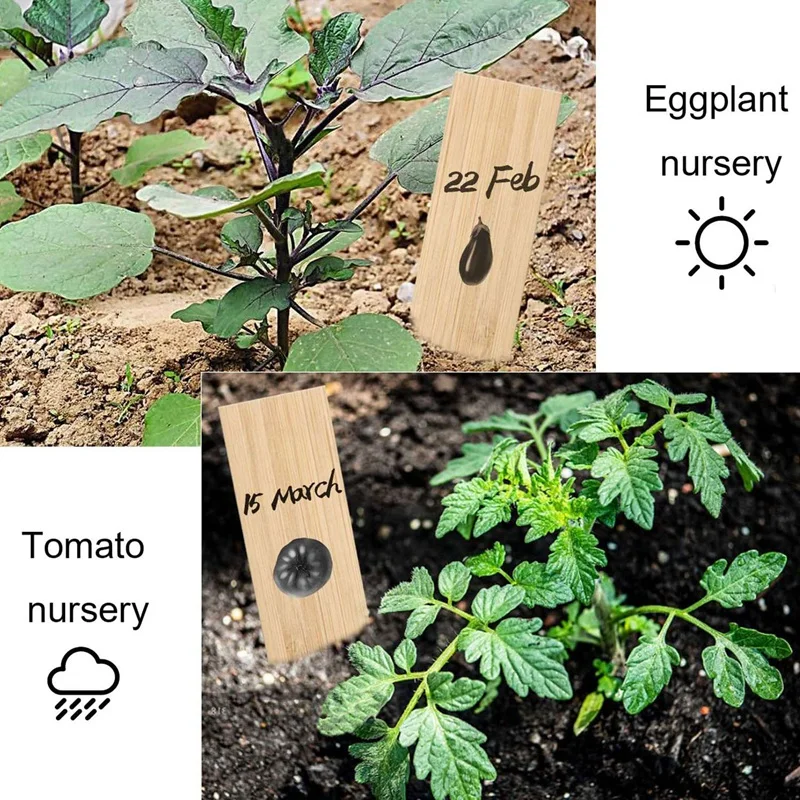 

60Pcs Bamboo Plant Label, 3 Kinds of Plant Label Label, Seed Potted Herbs, Flowers and Vegetable Garden Label