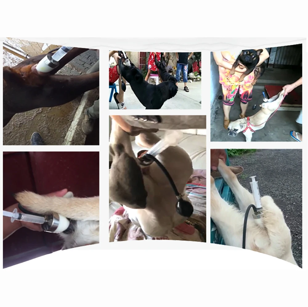 Dog Artificial Insemina Syringe Imitation Natural Mating Insemination Silicone Inseminating Infusion Tool | Инструменты