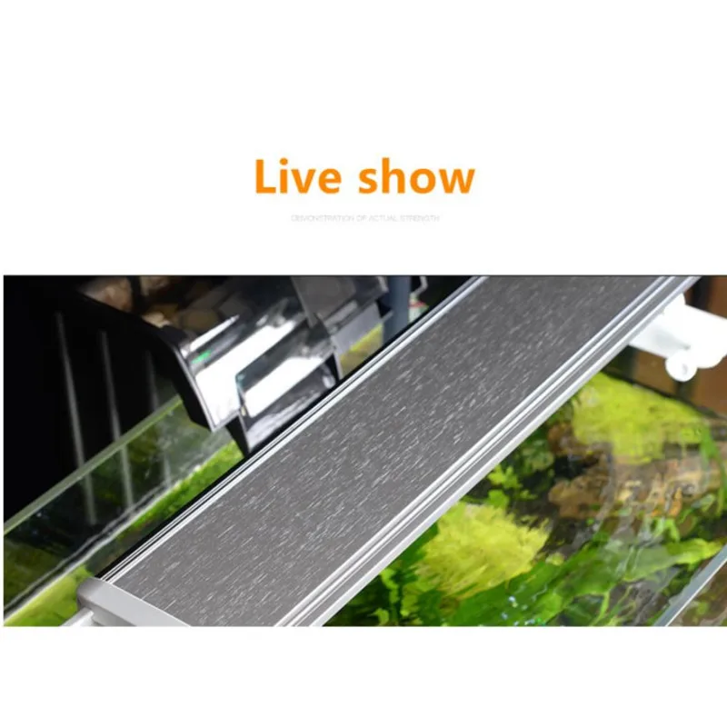 저렴한 풀 스펙트럼 회전식 저전력 소비 고휘도 LED 어항 램프 랙 잔디 탱크 램프 수족관 LED 램프 구매 풀 스펙트럼 회전식 저전력 소비 고휘도 LED 어항 램프 랙 잔디 탱크 램프 수족관 LED 램프