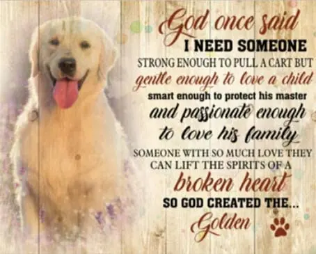 

Metal Tin Signs I Need Someone God Created The Golden Music Vintage Novelty Funny Home Bathroom Bar Pub Cottage Farm Rustic