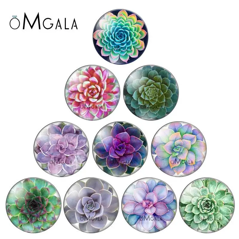 

Succulents Print CACTUS ART mixed 10pcs 12mm/18mm/20mm/25mm Round photo glass cabochon demo flat back Making findings