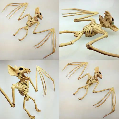 Новая мода Хэллоуин скелет кошка собака мышь реквизит кости животных украшение