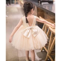 tulle baby champagne girl dresses special occasion dress beaded christening baptism gown newborn birthday princess party clothes