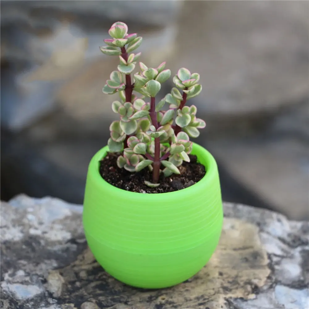 Мини-горшок для цветов круглый пластиковый горшок сочные растения цветные