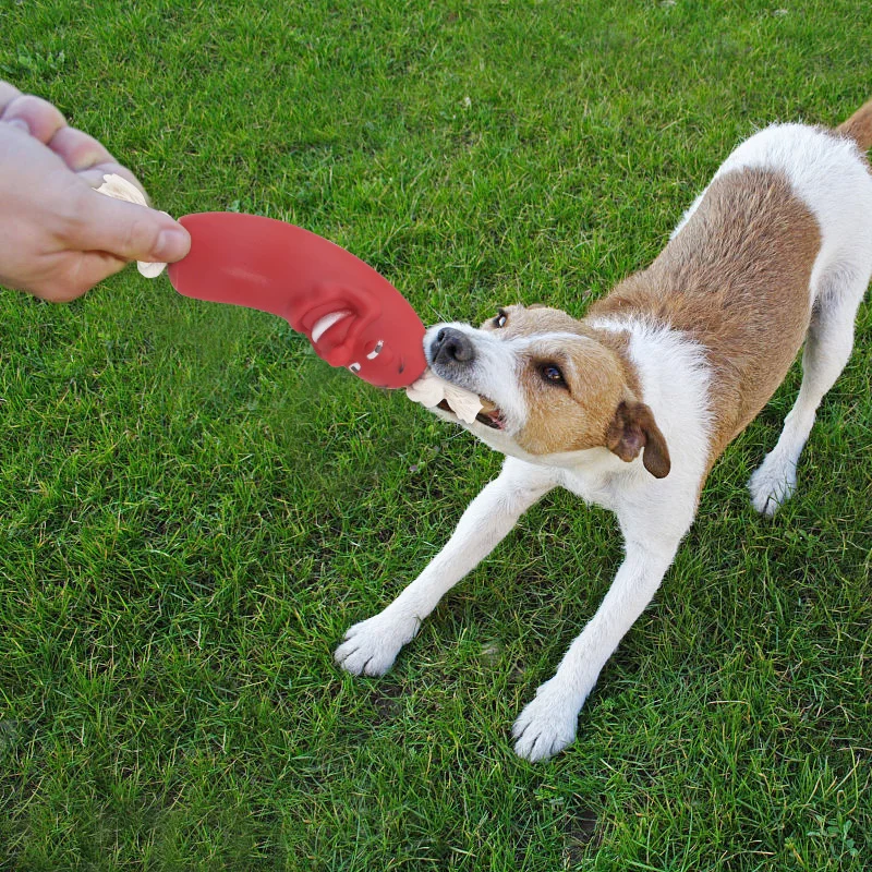 Забавные игрушки для собак сосиска пищалка домашних животных здоровая латексная