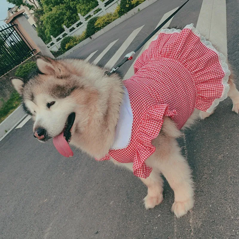 Платье для собак одежда щенков среднего и большого размера костюм лабрадоров
