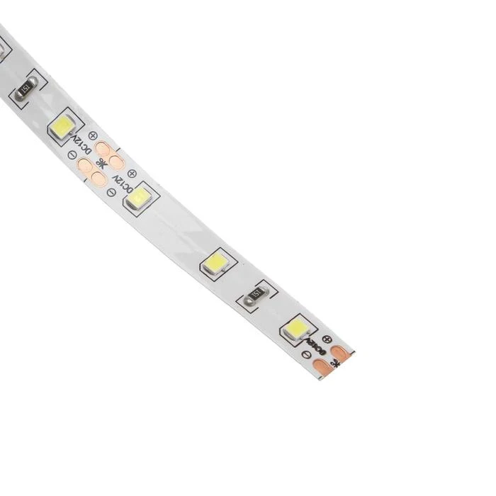 Светодиодная лента Ecola PRO 12В SMD2835 5 м IP20 8Вт/м 60 LED/м 6000К 5501899 | Освещение