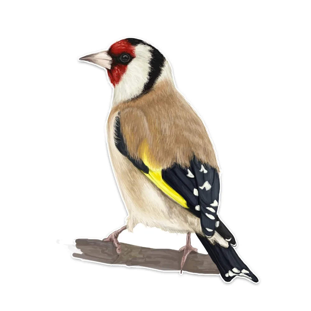 

Personality Car Sticker Funny Decoration Cartoon Cute Creative Birds Accessories Personalized Reflective Decal PVC14x10cm