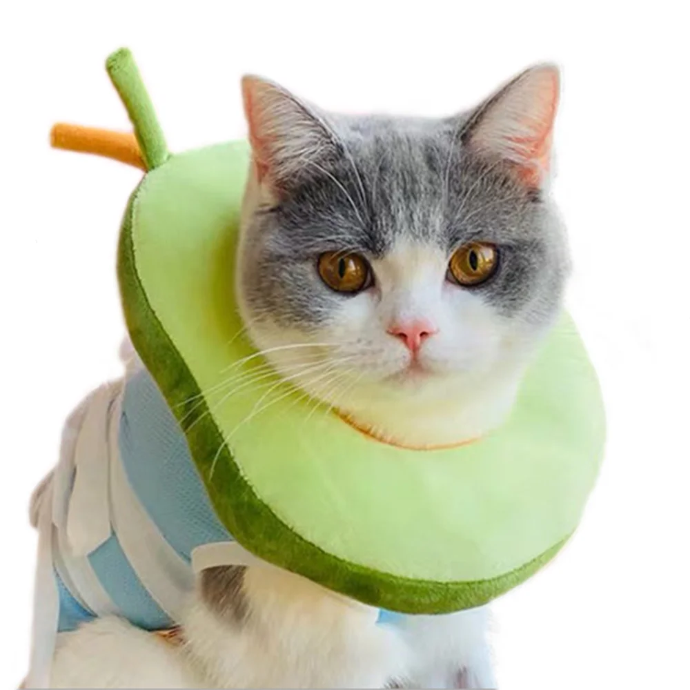 Аксессуары для домашних животных ошейник кошек персонализированный