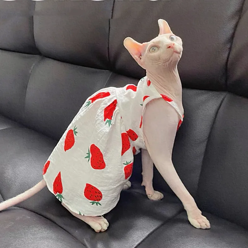 Sphinx Cat Dresses Luxury Clothes For Hairless Cats Summer Dog Fancy Skirt Kittens Vest Costume Puppy Cute Strawberry Clothing
