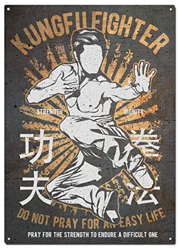 

Kung Fu Fighter Metal Tin Signs,Martial Arts Colorfast Posters, Decorative Signs, Wall Art, Home Decor - 8X12 Inch (20X30 cm)