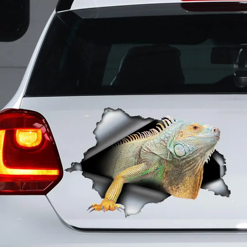 

Iguana car decal , Iguana car magnet, Iguana sticker