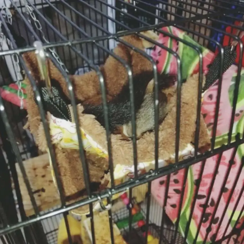 

Pet Hammock Double-layer Plush Soft Winter Warm Hanging Nest Sleeping Bed Small Pets Hamster Squirrel Chinchilla House