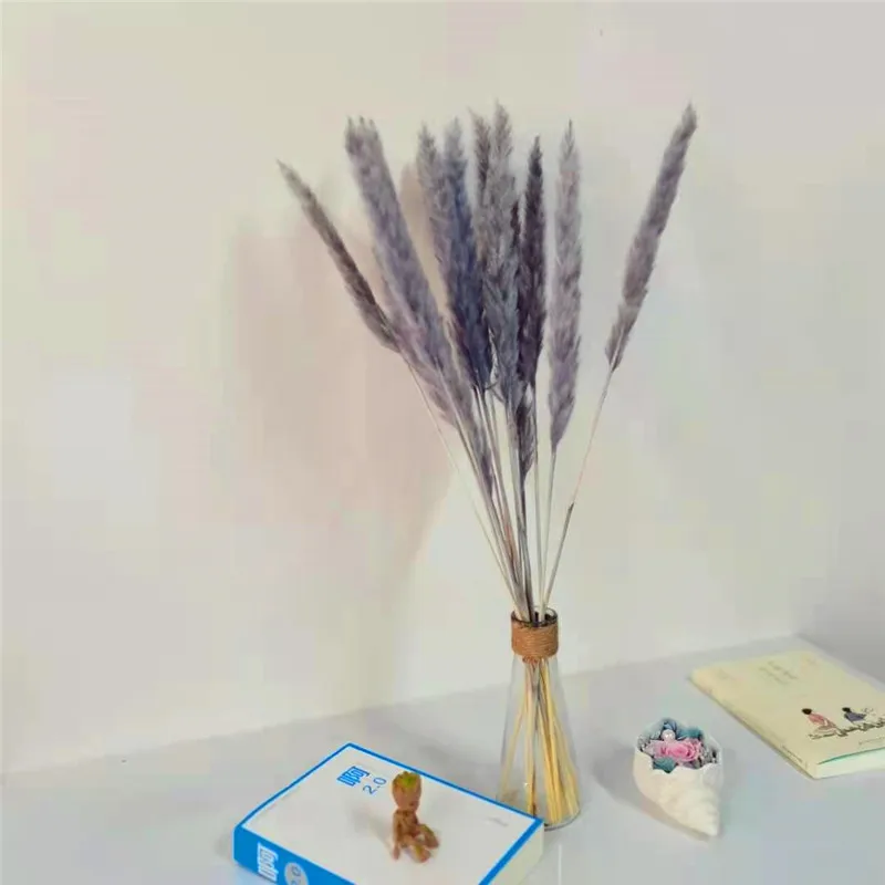 

Decorative Natural Plant Reed Pampas Grass Dried Flower White Gray Original Colorful DIY Gift Special Packaging For Mother's Day